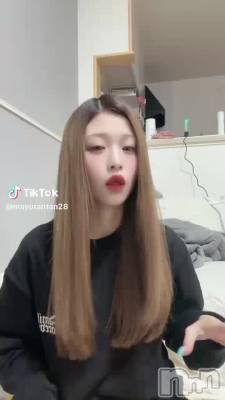 72 2017ʬư