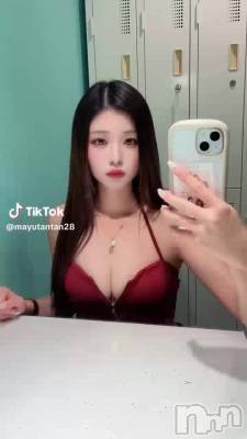 12��14�� 04��28ʬ��ư��