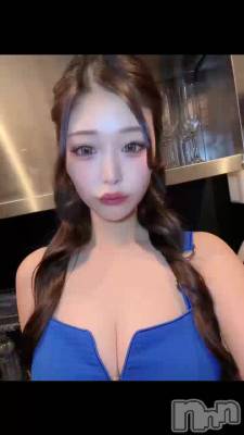 �������T�Хå����å���