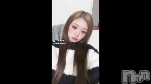 19 0434ʬư