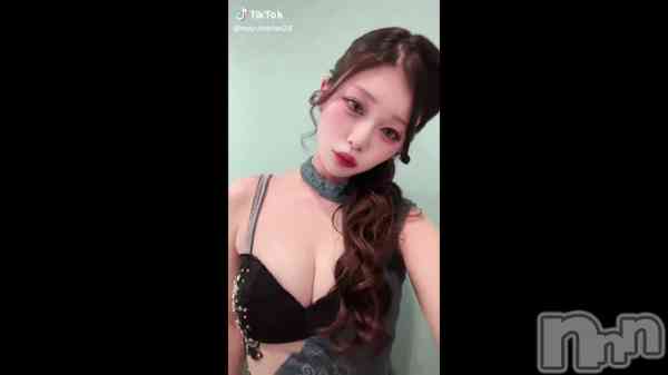 ��2��19�� 12��19ʬ��ư���