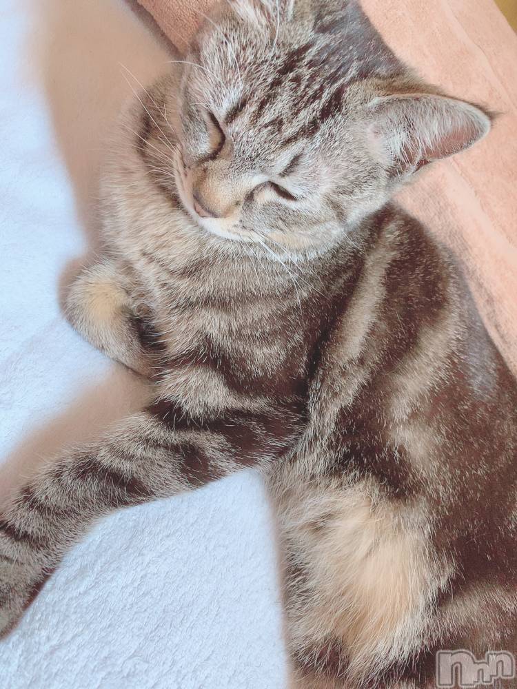 ��ˬ����Х��顦����֥���� �ץ���� ��ˬ(����� �ץ���� ����) ɱǵ �����6��10���̥�֥�����(ฅ'��'ฅ)��