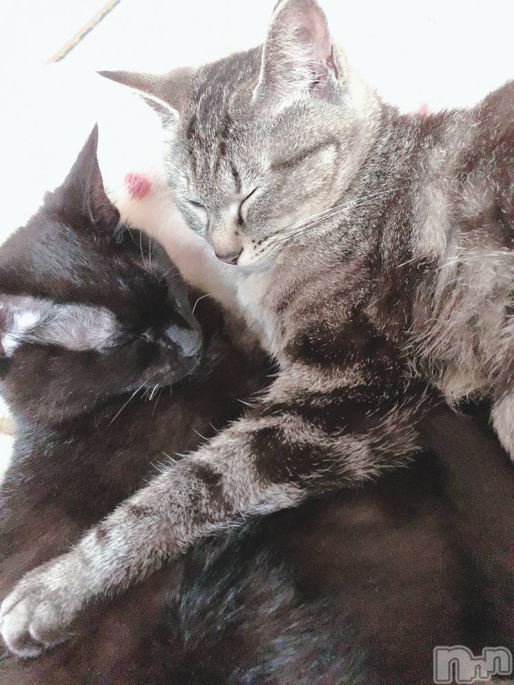 ��ˬ����Х��顦����֥���� �ץ���� ��ˬ(����� �ץ���� ����) ɱǵ �����7��25���̥�֥����ֽжС�