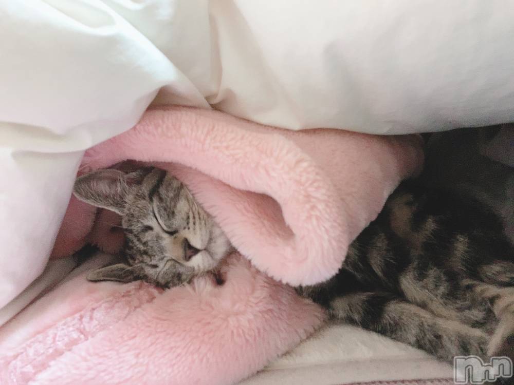 ��ˬ����Х��顦����֥���� �ץ���� ��ˬ(����� �ץ���� ����) ɱǵ �����9��23���̥�֥����ֽжФǤ�����