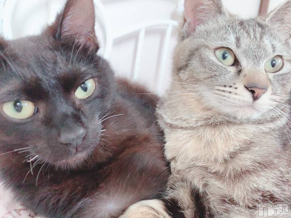 ��ˬ����Х��顦����֥���� �ץ���� ��ˬ(����� �ץ���� ����) ɱǵ �����10��21���̥�֥����ֽжФǤ�����