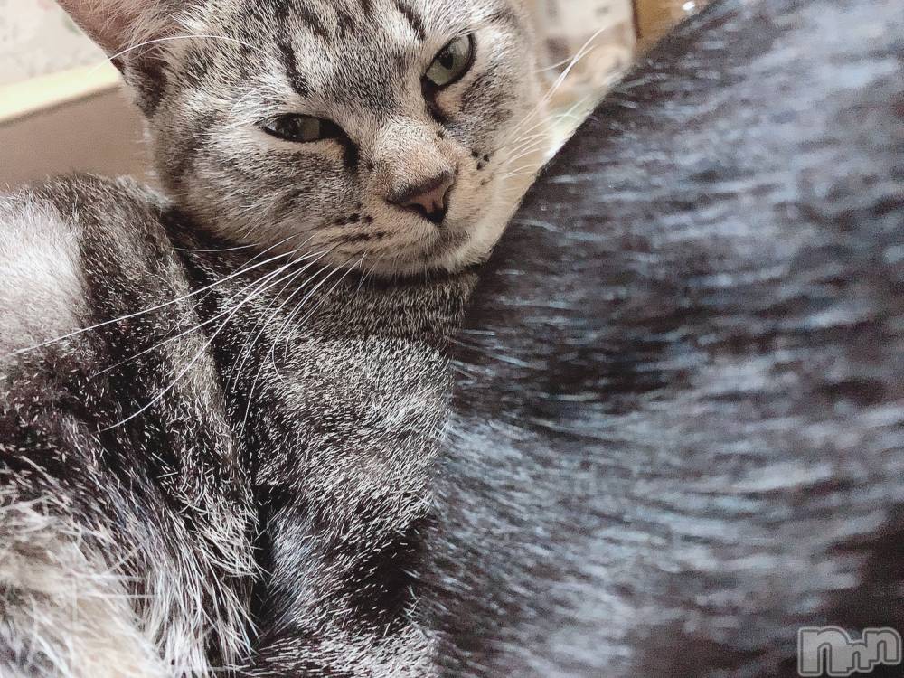 ��ˬ����Х��顦����֥���� �ץ���� ��ˬ(����� �ץ���� ����) ɱǵ �����10��23���̥�֥����֥ϥ�������🎃��