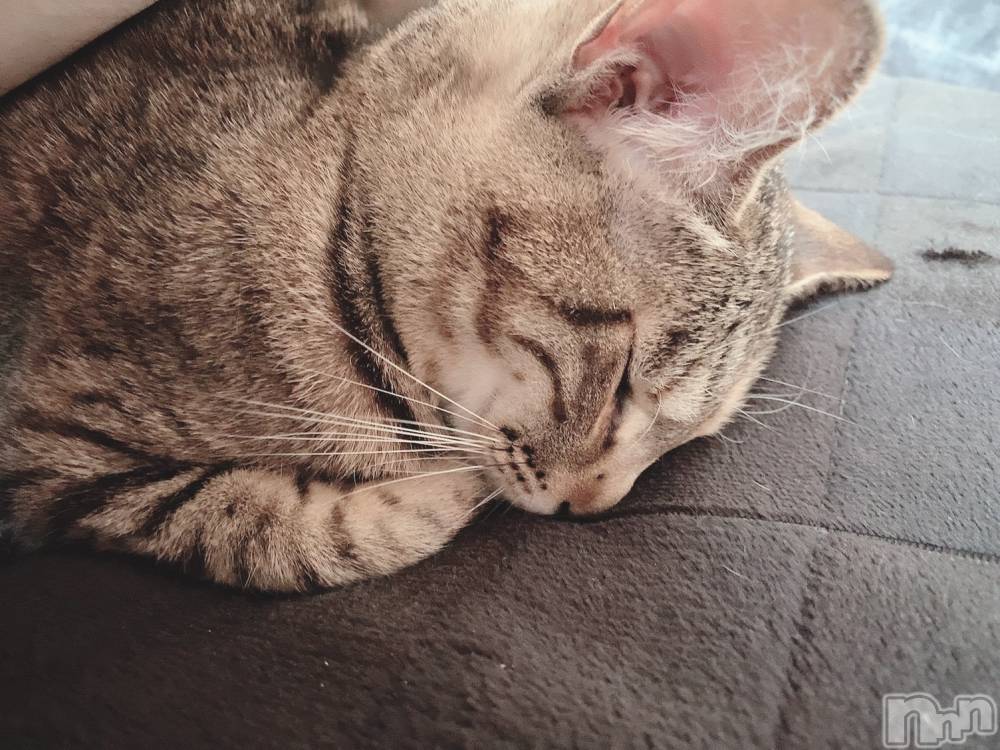 ��ˬ����Х��顦����֥���� �ץ���� ��ˬ(����� �ץ���� ����) ɱǵ �����11��16���̥�֥����ֽжС�