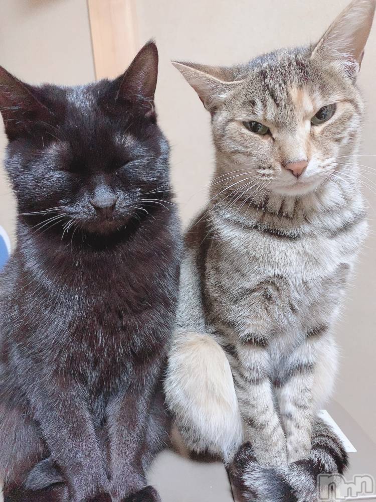 ��ˬ����Х��顦����֥���� �ץ���� ��ˬ(����� �ץ���� ����) ɱǵ �����11��18���̥�֥����ֽжФ��