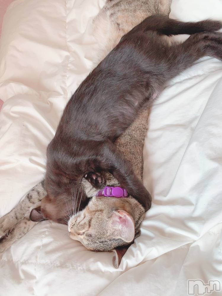 ��ˬ����Х��顦����֥���� �ץ���� ��ˬ(����� �ץ���� ����) ɱǵ �����12��11���̥�֥����ֽжФ��Ƥޤ�����