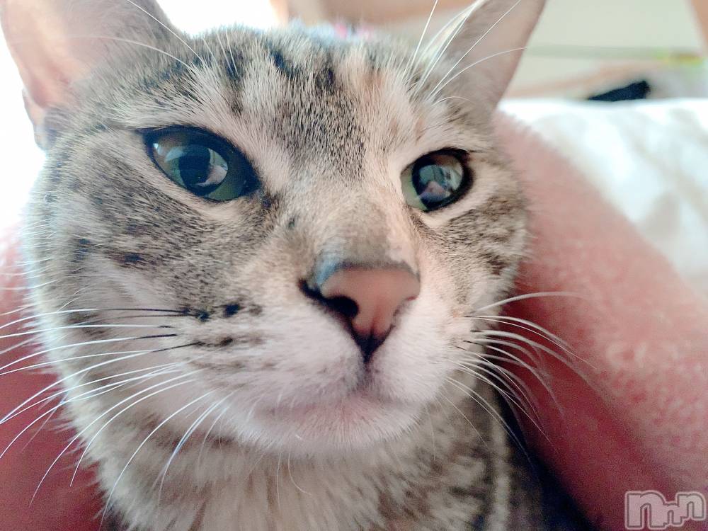 ��ˬ����Х��顦����֥���� �ץ���� ��ˬ(����� �ץ���� ����) ɱǵ �����12��21���̥�֥����ֽжС�