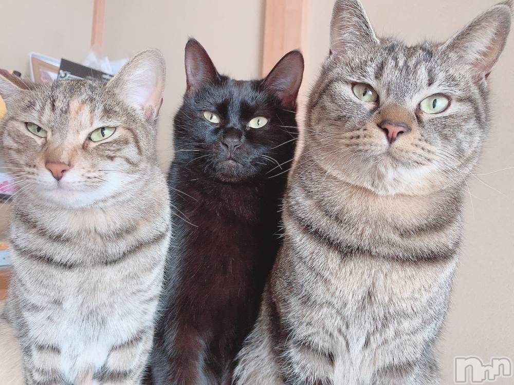 ��ˬ����Х��顦����֥���� �ץ���� ��ˬ(����� �ץ���� ����) ɱǵ �����1��21���̥�֥����ֽжС�