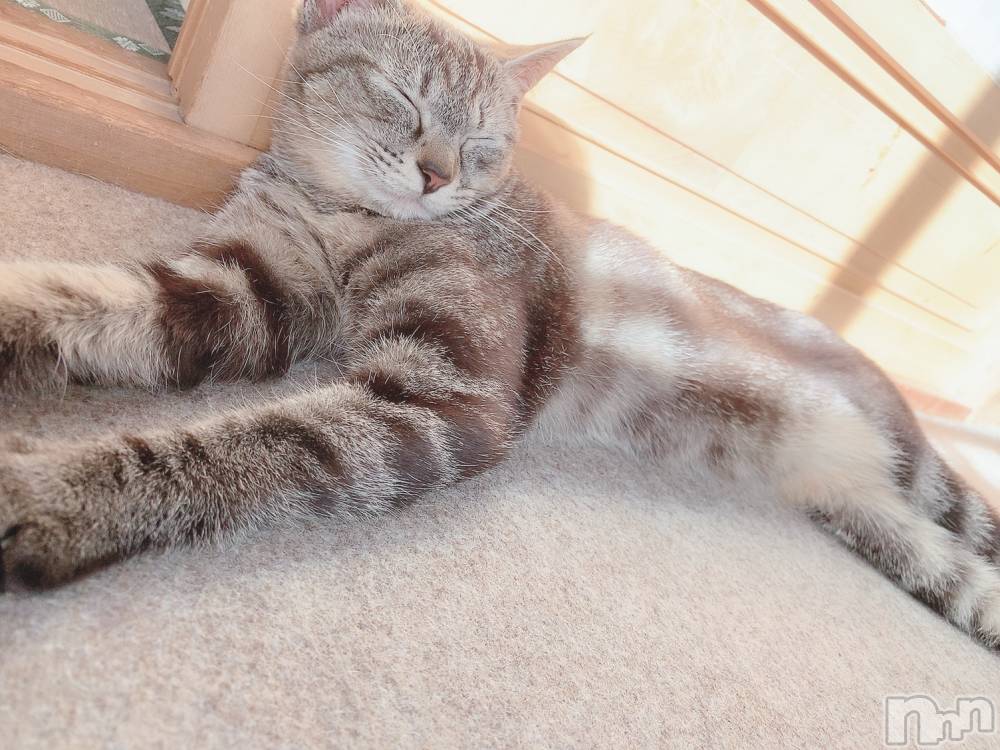 ��ˬ����Х��顦����֥���� �ץ���� ��ˬ(����� �ץ���� ����) ɱǵ �����2��22���̥�֥����֤����ˤ���