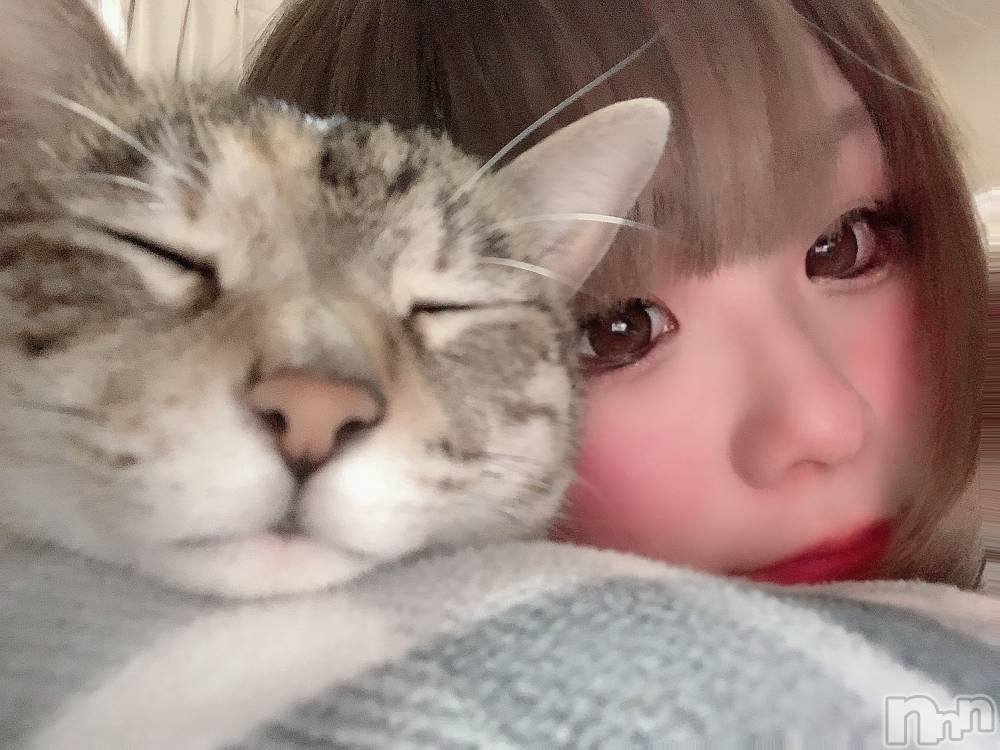 ��ˬ����Х��顦����֥���� �ץ���� ��ˬ(����� �ץ���� ����) ɱǵ �����2��26���̥�֥����ֽжС�