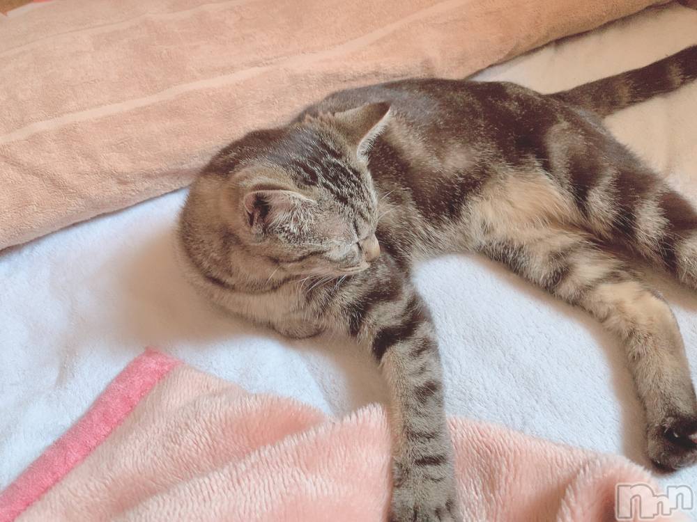 ��ˬ����Х��顦����֥���� �ץ���� ��ˬ(����� �ץ���� ����) ɱǵ �����3��31���̥�֥����ֽжС�