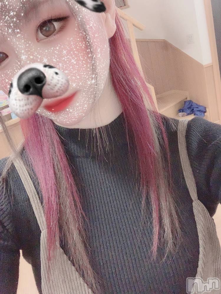 ��ˬ����Х��顦����֥���� �ץ���� ��ˬ(����� �ץ���� ����) ɱǵ �����4��5���̥�֥�����🌸🍃��