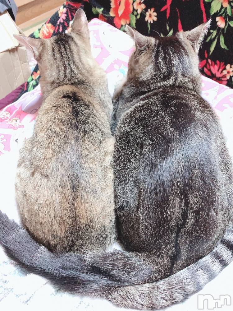 ��ˬ����Х��顦����֥���� �ץ���� ��ˬ(����� �ץ���� ����) ɱǵ �����5��11���̥�֥�����(๑♡ᴗ♡๑)��