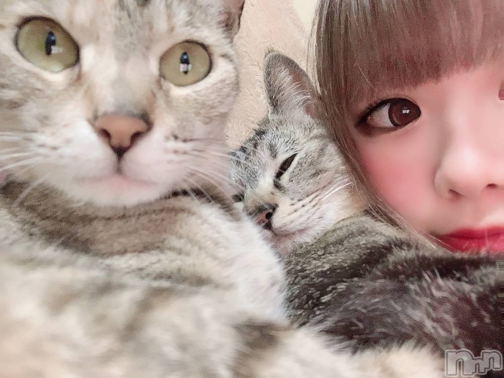 ��ˬ����Х��顦����֥���� �ץ���� ��ˬ(����� �ץ���� ����) ɱǵ �����6��30���̥�֥�����😟😟��