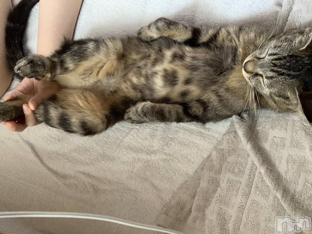 ��ˬ����Х��顦����֥���� �ץ���� ��ˬ(����� �ץ���� ����) ɱǵ �����7��1���̥�֥�����☺️��