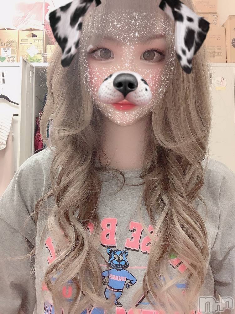 ��ˬ����Х��顦����֥���� �ץ���� ��ˬ(����� �ץ���� ����) ɱǵ �����8��5���̥�֥�����( ✋���࿁��� )��