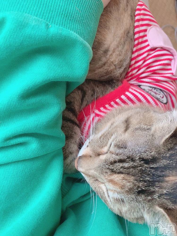 ��ˬ����Х��顦����֥���� �ץ���� ��ˬ(����� �ץ���� ����) ɱǵ �����9��18���̥�֥����ֽж�👻��