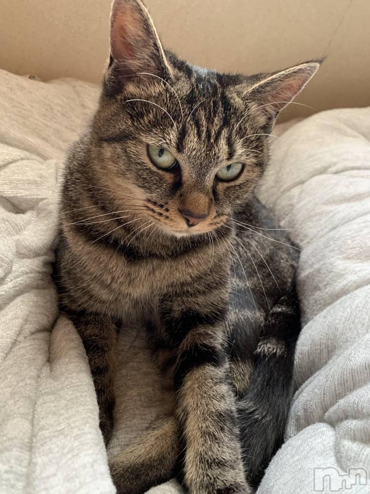 ��ˬ����Х��顦����֥���� �ץ���� ��ˬ(����� �ץ���� ����) ɱǵ �����9��29���̥�֥����֤ˤ��Ƥ���😸��