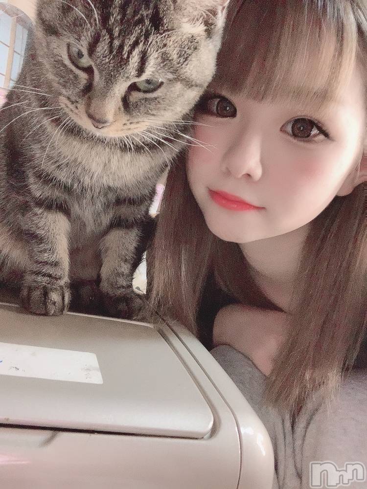 ��ˬ����Х��顦����֥���� �ץ���� ��ˬ(����� �ץ���� ����) ɱǵ �����11��6���̥�֥�����(♡>��<)��