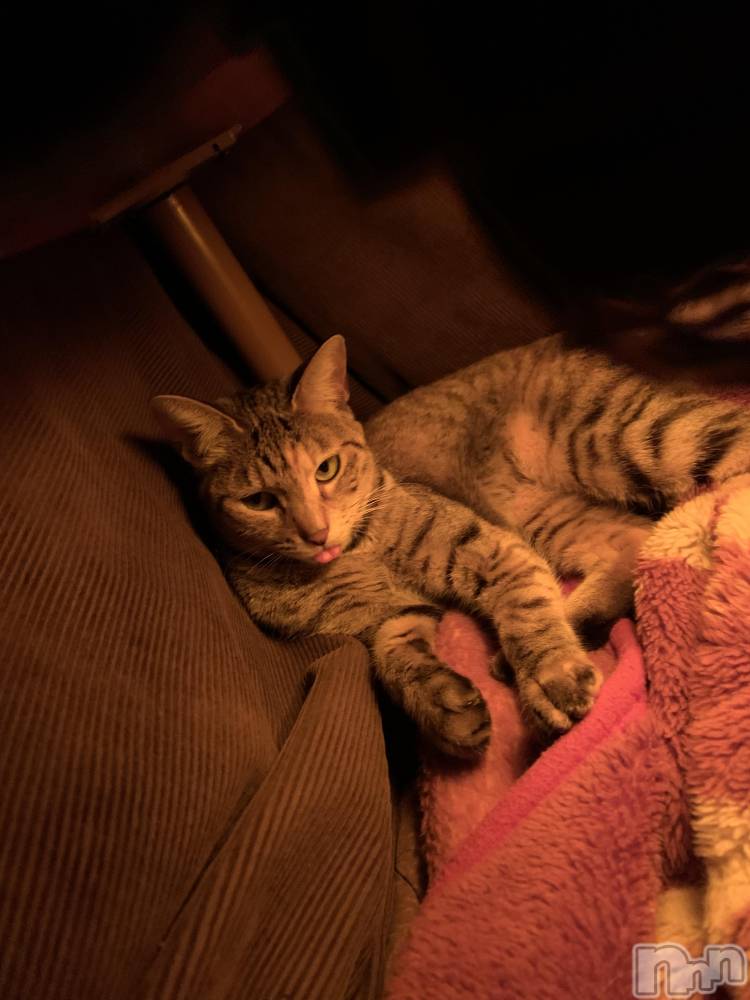 ��ˬ����Х��顦����֥���� �ץ���� ��ˬ(����� �ץ���� ����) ɱǵ �����11��26���̥�֥�����11��26�� 21��17ʬ�Υ֥�����