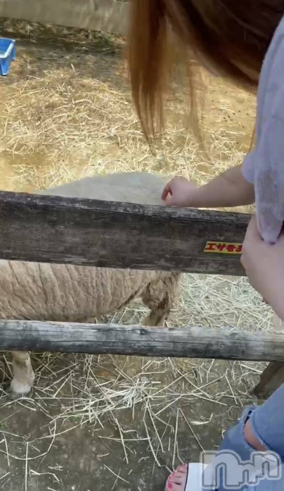 ��ˬ����Х��顦����֥���� �ץ���� ��ˬ(����� �ץ���� ����) ɱǵ �����11��27���̥�֥�����🐑��