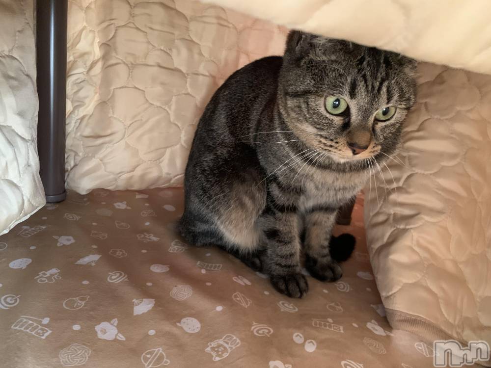 ��ˬ����Х��顦����֥���� �ץ���� ��ˬ(����� �ץ���� ����) ɱǵ �����11��30���̥�֥�����🥺��