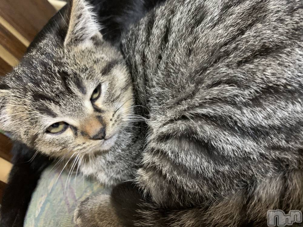 ��ˬ����Х��顦����֥���� �ץ���� ��ˬ(����� �ץ���� ����) ɱǵ �����12��22���̥�֥����֤ˤ���