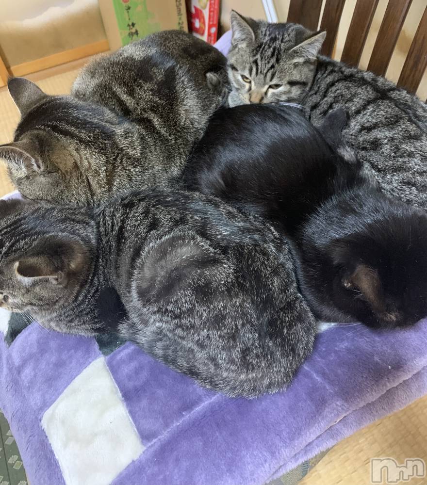 ��ˬ����Х��顦����֥���� �ץ���� ��ˬ(����� �ץ���� ����) ɱǵ �����12��30���̥�֥�����𝙻𝙰𝚂𝚃😳��