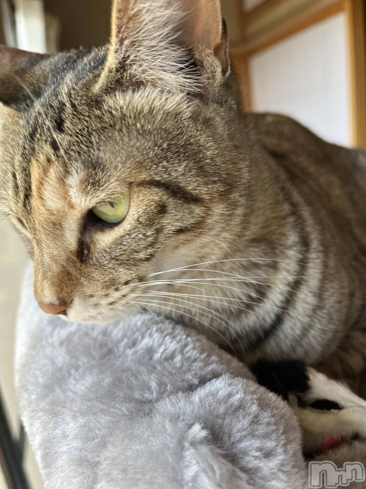 ��ˬ����Х��顦����֥���� �ץ���� ��ˬ(����� �ץ���� ����) ɱǵ �����5��7���̥�֥����֤���Ф���