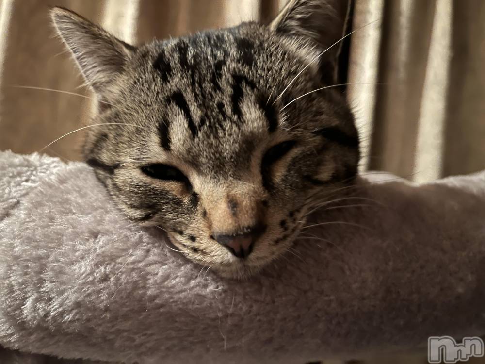 ��ˬ����Х��顦����֥���� �ץ���� ��ˬ(����� �ץ���� ����) ɱǵ �����5��11���̥�֥����֤���Ф��🫶��