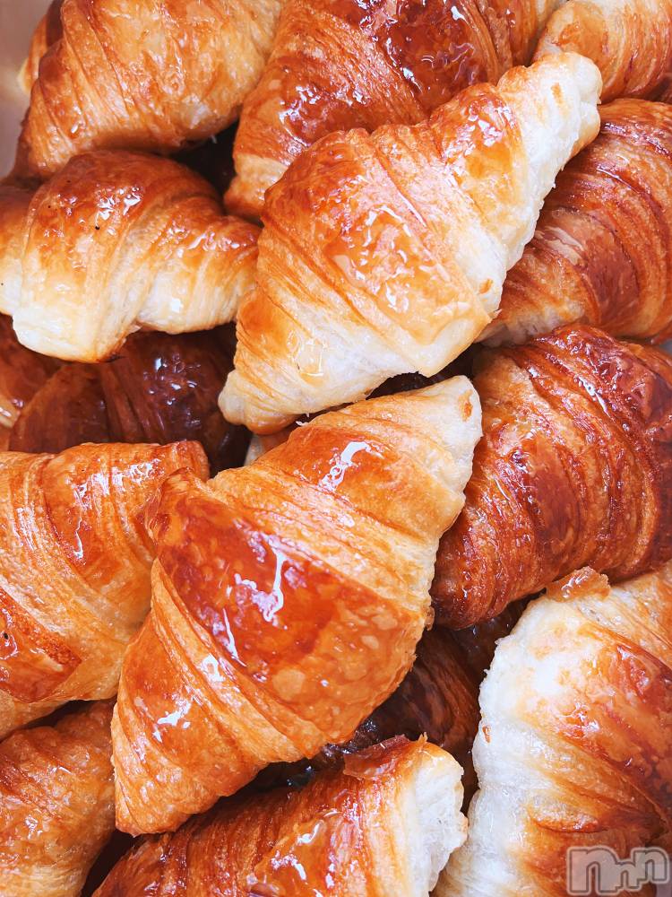 ��ˬ����Х��顦����֥���� �ץ���� ��ˬ(����� �ץ���� ����) ɱǵ �����5��17���̥�֥�����🥐��