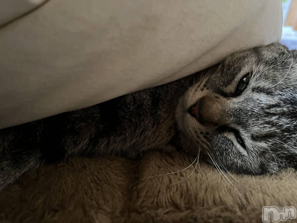 ��ˬ����Х��顦����֥���� �ץ���� ��ˬ(����� �ץ���� ����) ɱǵ �����5��21���̥�֥����֤ͤ���