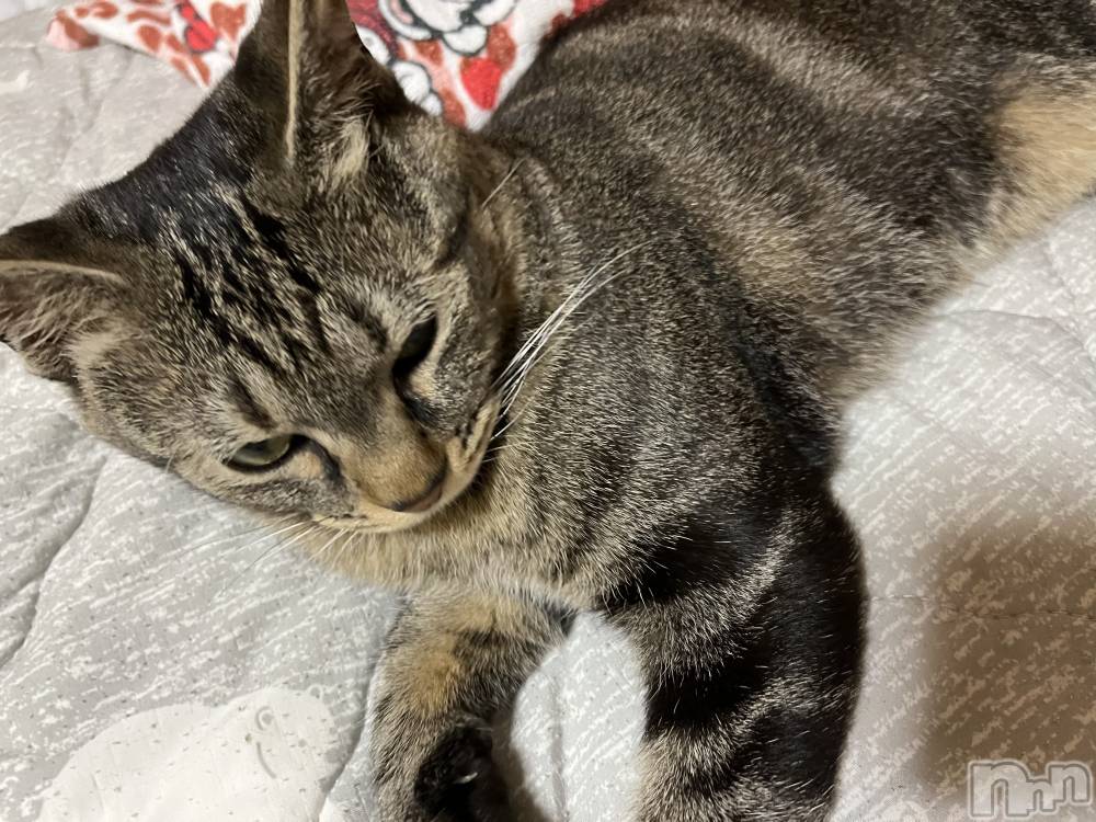 ��ˬ����Х��顦����֥���� �ץ���� ��ˬ(����� �ץ���� ����) ɱǵ �����7��30���̥�֥����ּ�ǯ������