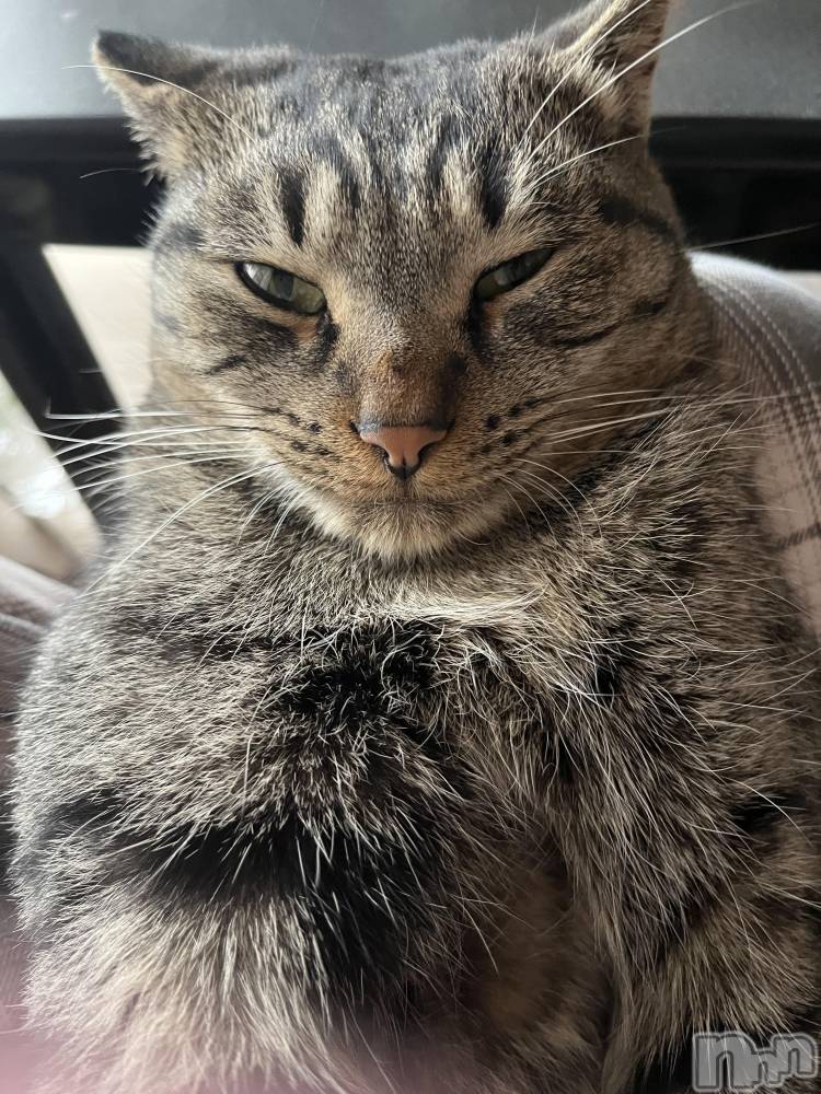 ��ˬ����Х��顦����֥���� �ץ���� ��ˬ(����� �ץ���� ����) ɱǵ �����11��28���̥�֥�����11��28�� 21��02ʬ�Υ֥�����