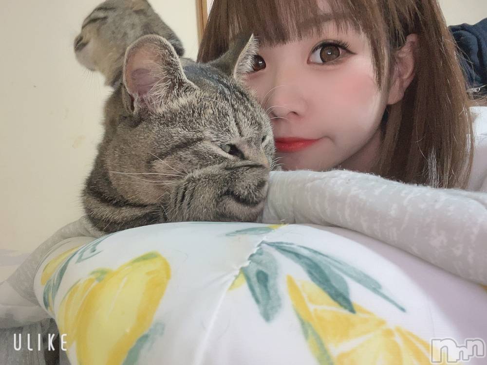 ��ˬ����Х��顦����֥���� �ץ���� ��ˬ(����� �ץ���� ����) ɱǵ �����12��5���̥�֥�����(*���ء�)�ɡ�