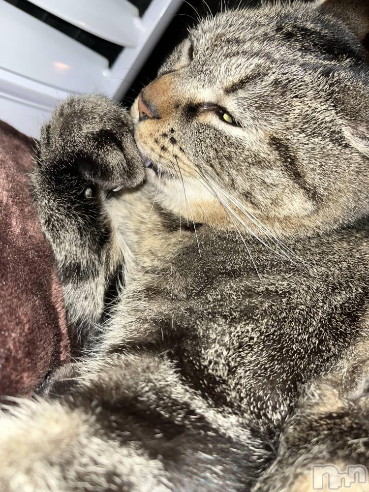 ��ˬ����Х��顦����֥���� �ץ���� ��ˬ(����� �ץ���� ����) ɱǵ �����1��28���̥�֥�����������✨️��