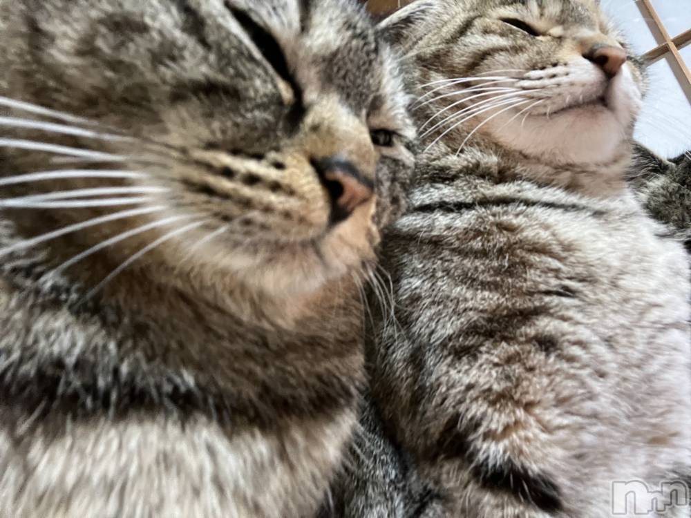 ��ˬ����Х��顦����֥���� �ץ���� ��ˬ(����� �ץ���� ����) ɱǵ �����2��21���̥�֥�����🤥��