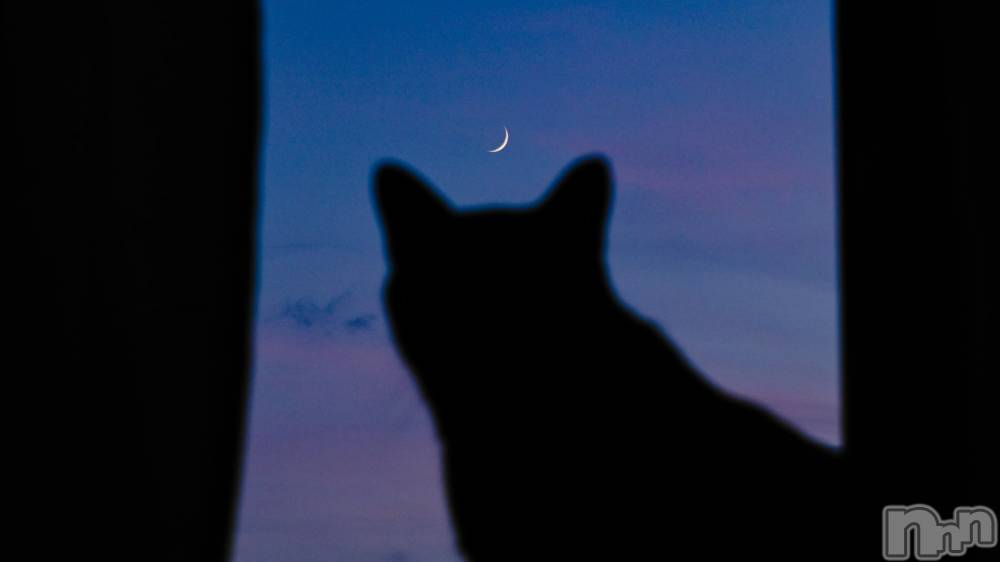 ��ˬ����Х��顦����֥���� �ץ���� ��ˬ(����� �ץ���� ����) ɱǵ �����2��27���̥�֥����֤���Ф�嵐��