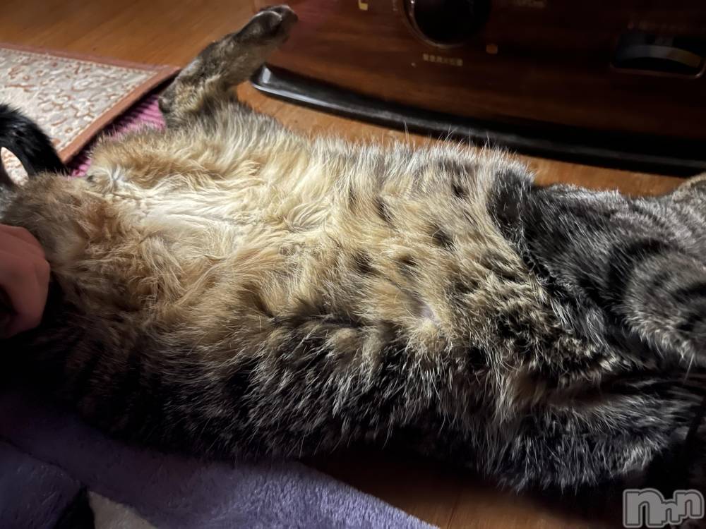 ��ˬ����Х��顦����֥���� �ץ���� ��ˬ(����� �ץ���� ����) ɱǵ �����4��26���̥�֥����֤ͤ���