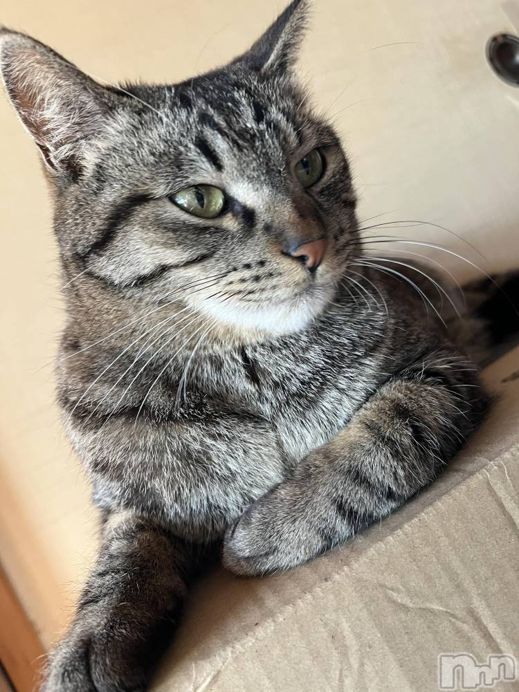 ��ˬ����Х��顦����֥���� �ץ���� ��ˬ(����� �ץ���� ����) ɱǵ �����5��17���̥�֥�����5��17�� 20��38ʬ�Υ֥�����