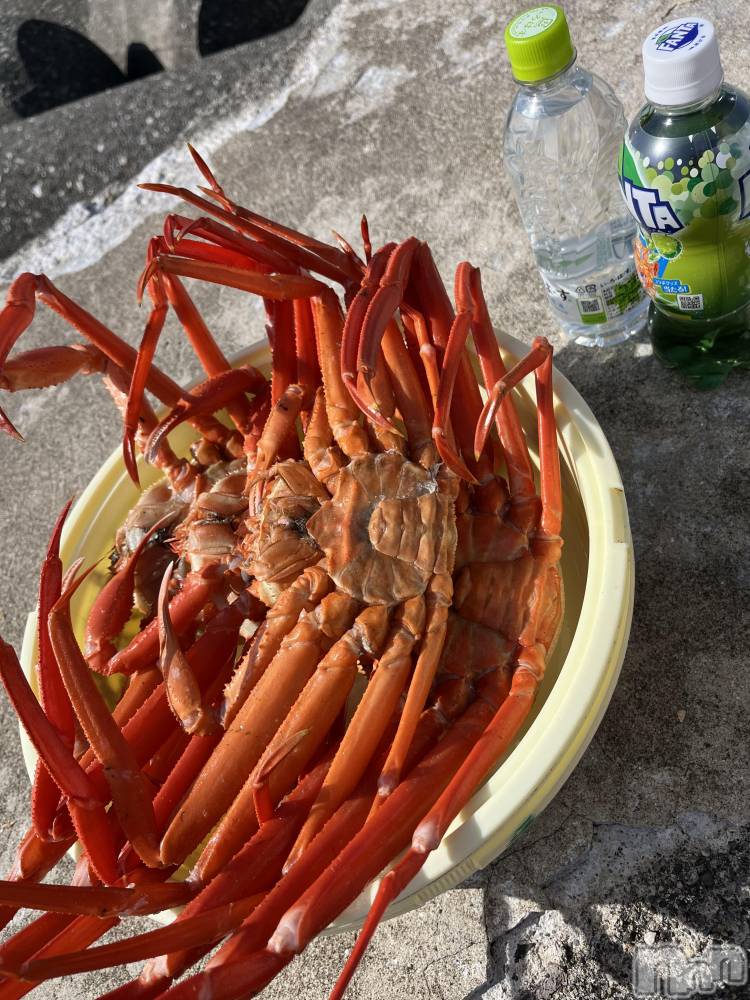 ��ˬ����Х��顦����֥���� �ץ���� ��ˬ(����� �ץ���� ����) ɱǵ �����5��18���̥�֥�����🫣��