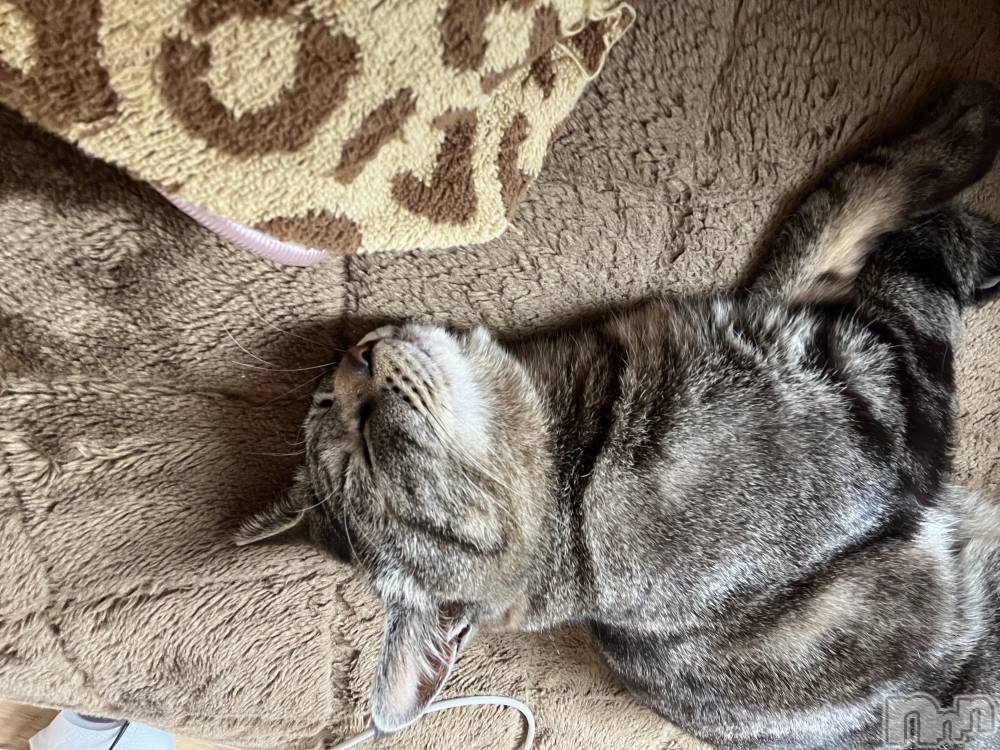 ��ˬ����Х��顦����֥���� �ץ���� ��ˬ(����� �ץ���� ����) ɱǵ �����6��14���̥�֥�����6��14�� 19��02ʬ�Υ֥�����