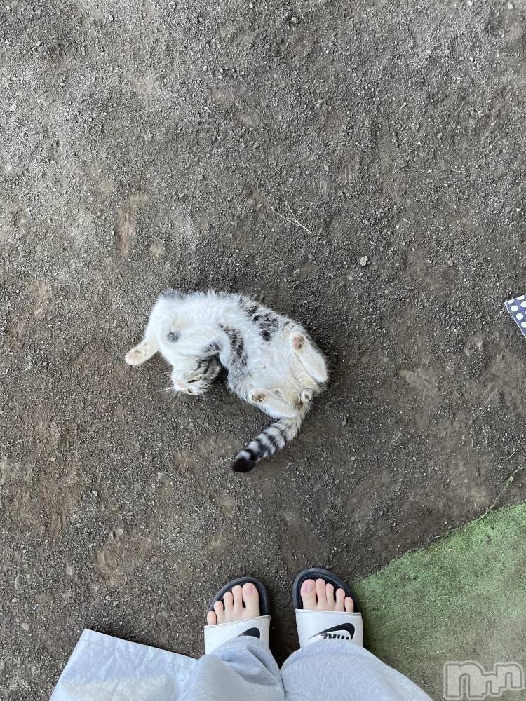 ��ˬ����Х��顦����֥���� �ץ���� ��ˬ(����� �ץ���� ����) ɱǵ �����7��28���̥�֥����֤ͤ���