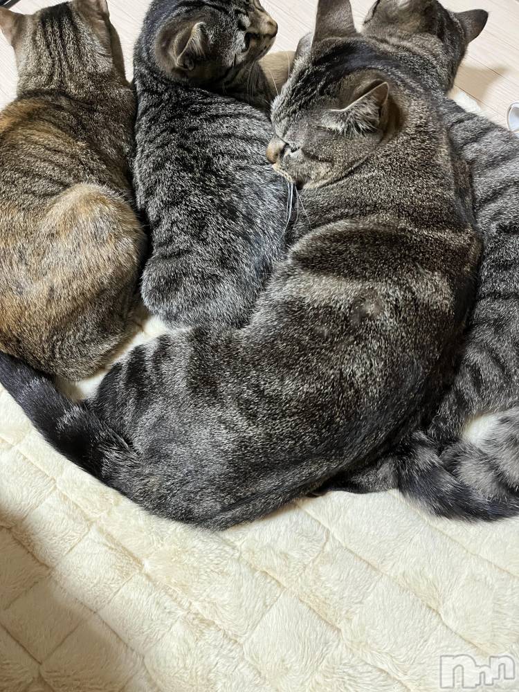 ��ˬ����Х��顦����֥���� �ץ���� ��ˬ(����� �ץ���� ����) ɱǵ �����9��25���̥�֥����֤ˤ��