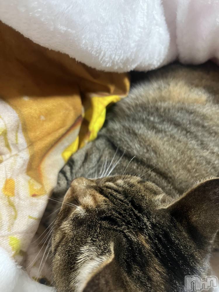 ��ˬ����Х��顦����֥���� �ץ���� ��ˬ(����� �ץ���� ����) ɱǵ �����10��19���̥�֥����֤ˤ��