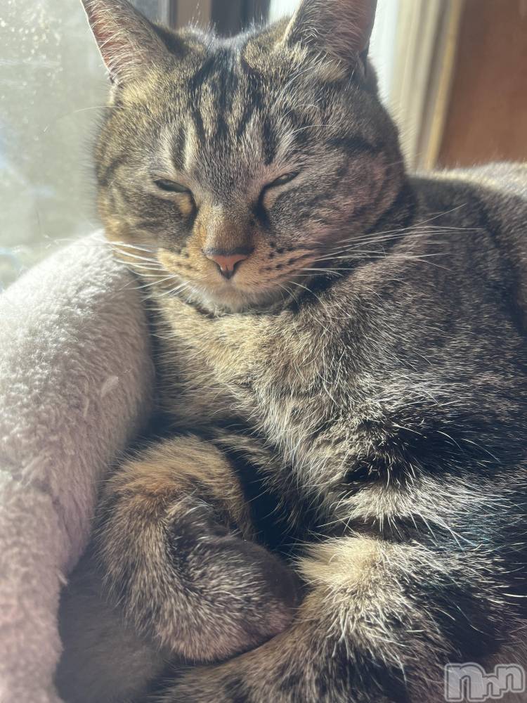 ��ˬ����Х��顦����֥���� �ץ���� ��ˬ(����� �ץ���� ����) ɱǵ �����2��18���̥�֥�����☺️��