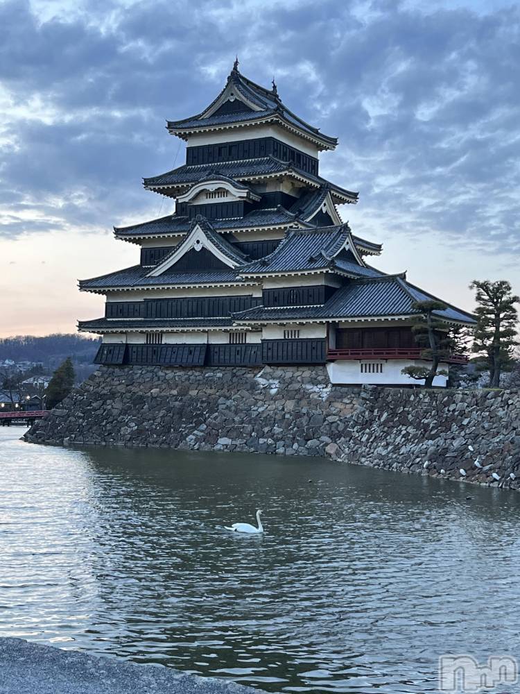 ��ˬ����Х��顦����֥���� �ץ���� ��ˬ(����� �ץ���� ����) ɱǵ �����4��10���̥�֥����ֿ�������